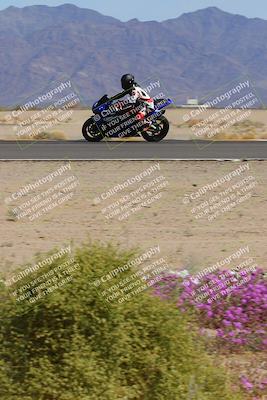 media/Mar-12-2023-SoCal Trackdays (Sun) [[d4c8249724]]/Turn 15 Inside Bloom (130pm)/